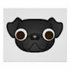 Meet your Posher, G w